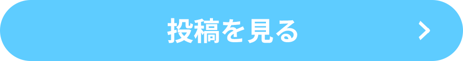 投稿を見る